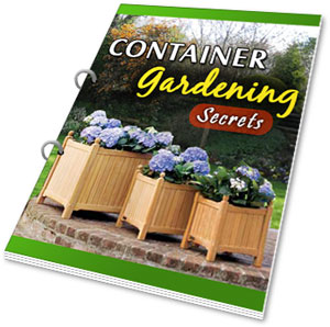 Container Gardening Secrets