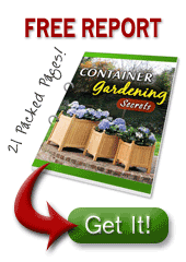 Free Report